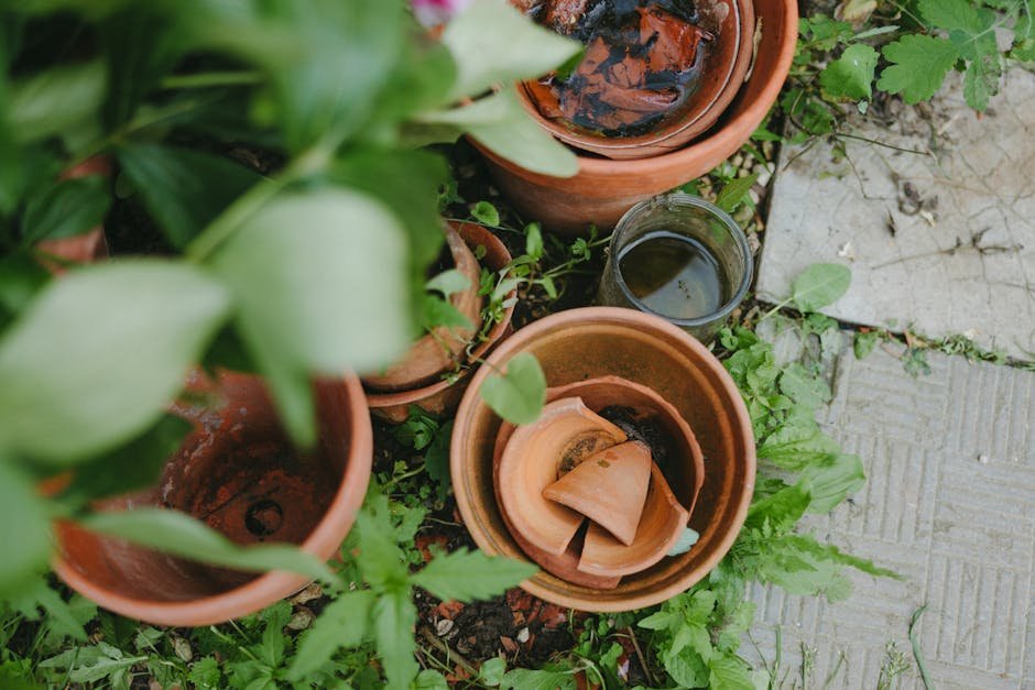 27. Treating Crocks in Pots as Essential Drainage Helpers (Image Credits: Pexels)