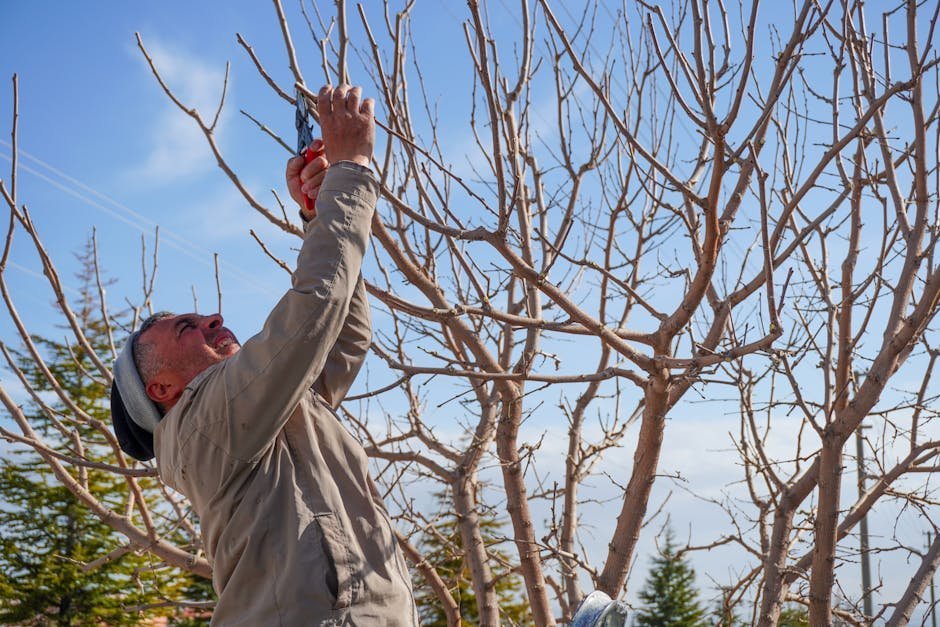 29. Painting Tree Wounds With Wound Dressing or Pruning Paint (Image Credits: Pexels)