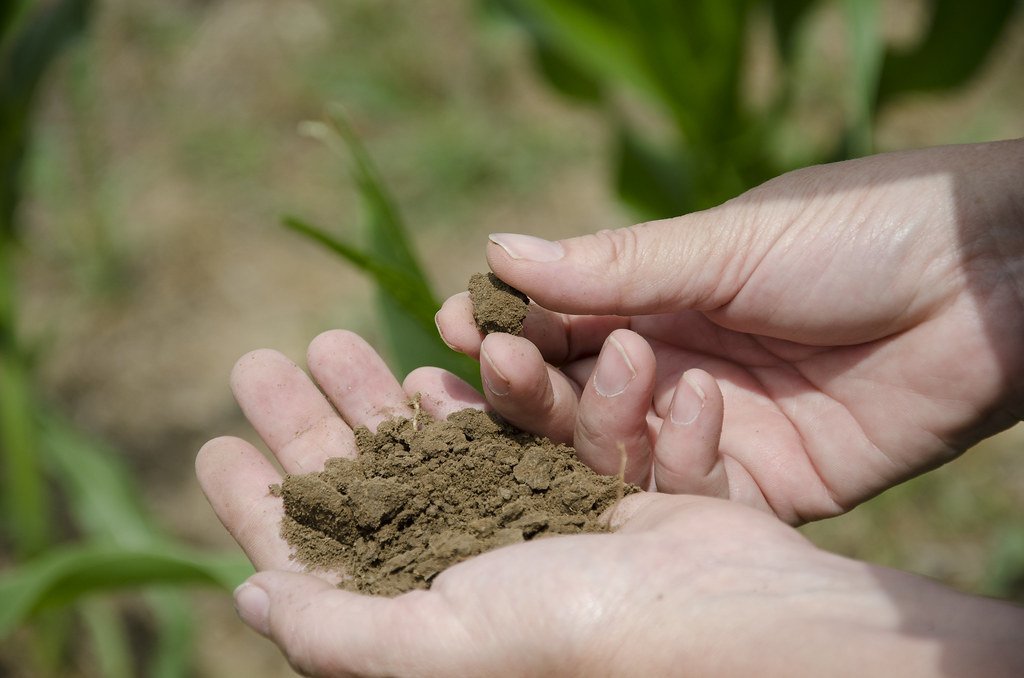 31. Assuming "Natural" or "Organic" Means It Can't Harm Soil (Image Credits: Flickr)