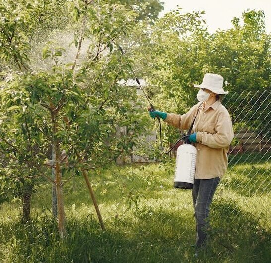 31 Old-School Gardening &lsquo;Hacks&rsquo; That Are Actually Poisoning Your Soil Today (Stop Doing #6 Immediately)