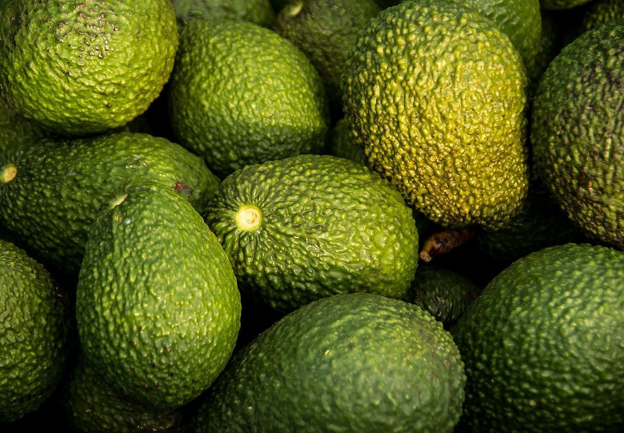 10. Avocado Green Appliances (Image Credits: Pixabay)