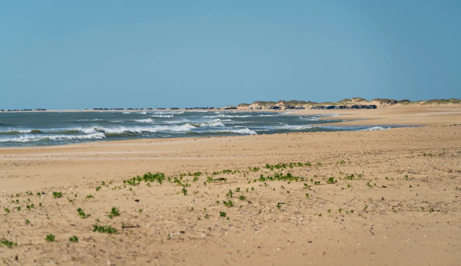 8. Cape Hatteras National Seashore's Barrier Islands (Image Credits: Shutterstock)