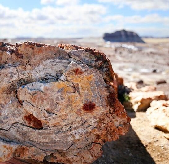 The Sad Truth About America&rsquo;s Disappearing Natural Wonders &ndash; And How You Can Help
