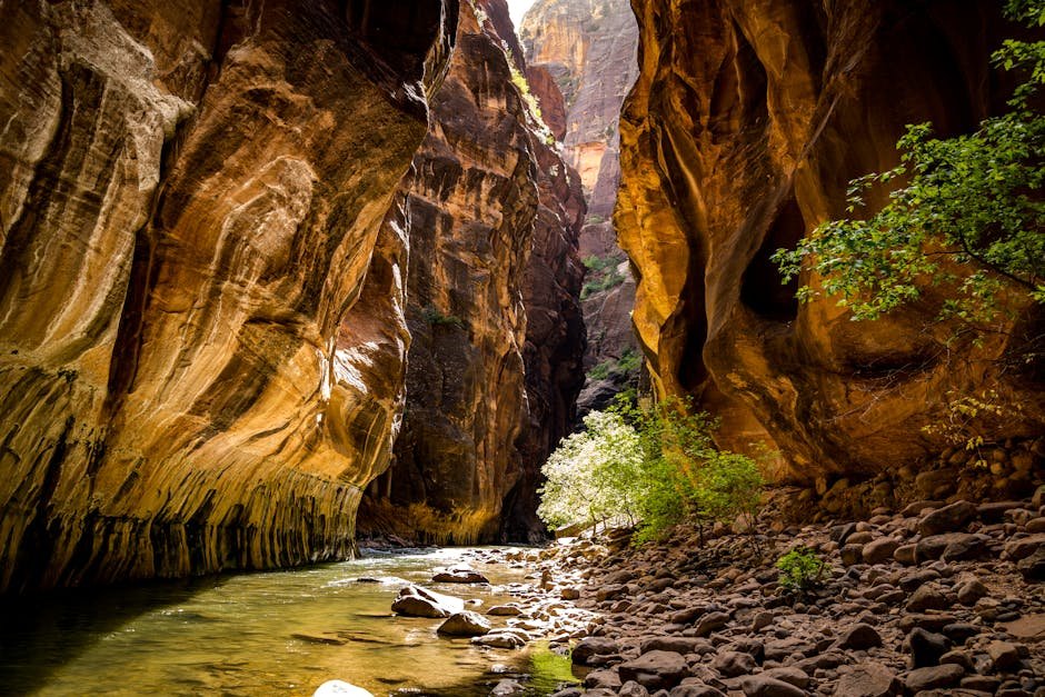 Original view of #6. Zion National Park, Utah - Slot Canyons That Swallow You Whole