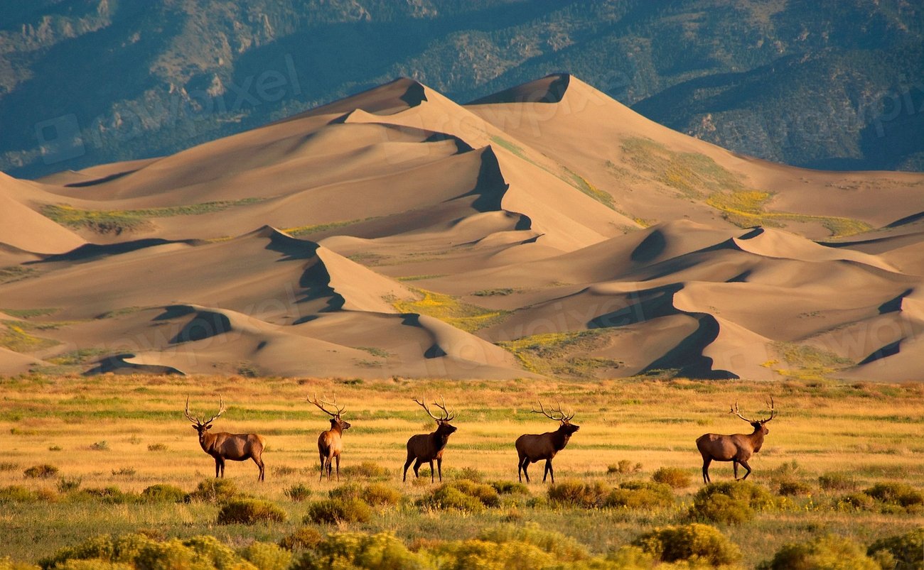 Original view of #5. Great Sand Dunes National Park, Colorado - The Tallest Dunes in North America