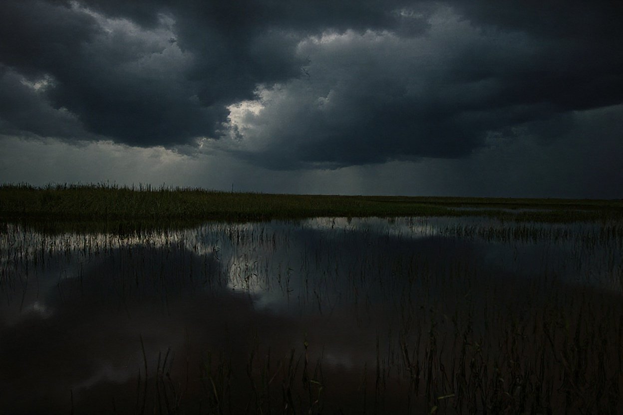 #17. The Everglades, Florida - The Slow River Nobody Sees Coming - Approaching Storm