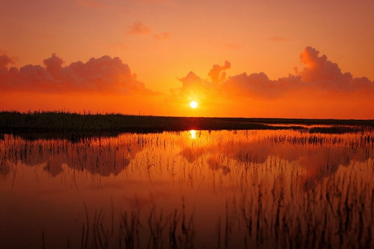 #17. The Everglades, Florida - The Slow River Nobody Sees Coming - Golden Hour