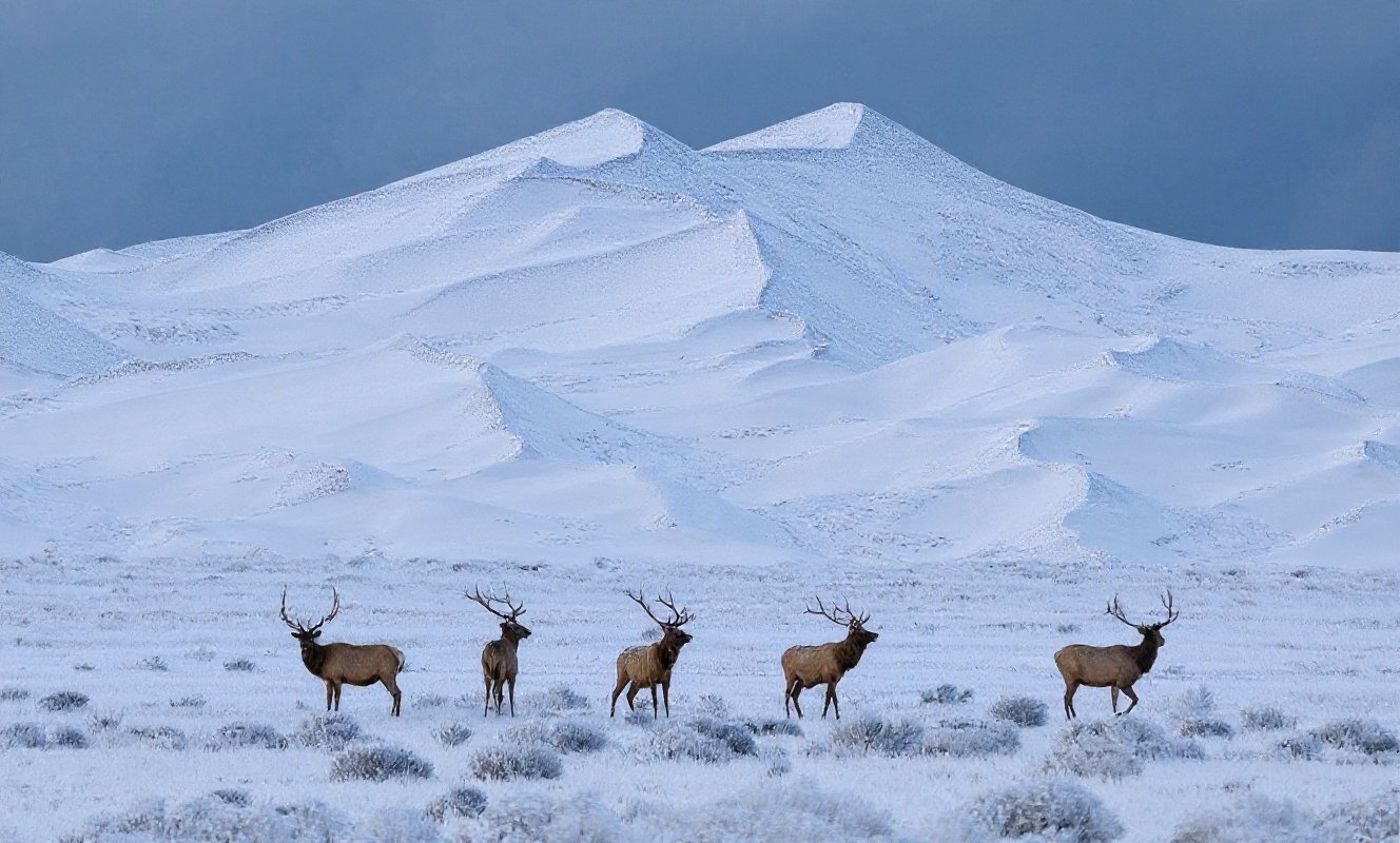 #5. Great Sand Dunes National Park, Colorado - The Tallest Dunes in North America - Winter Dusting
