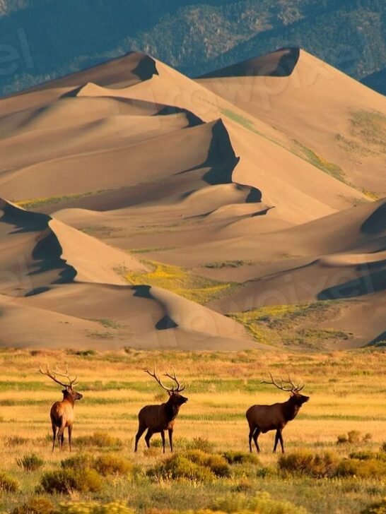 From Deserts to Glaciers: America&rsquo;s Most Extreme Landscapes You Can Explore