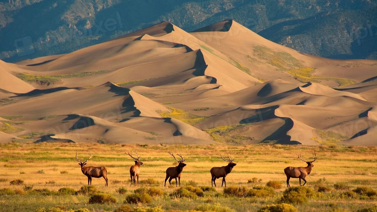 From Deserts to Glaciers: America&rsquo;s Most Extreme Landscapes You Can Explore