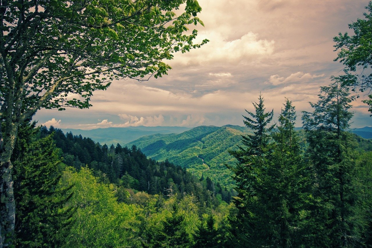 #5 - Great Smoky Mountains, Tennessee (Image Credits: Pixabay)