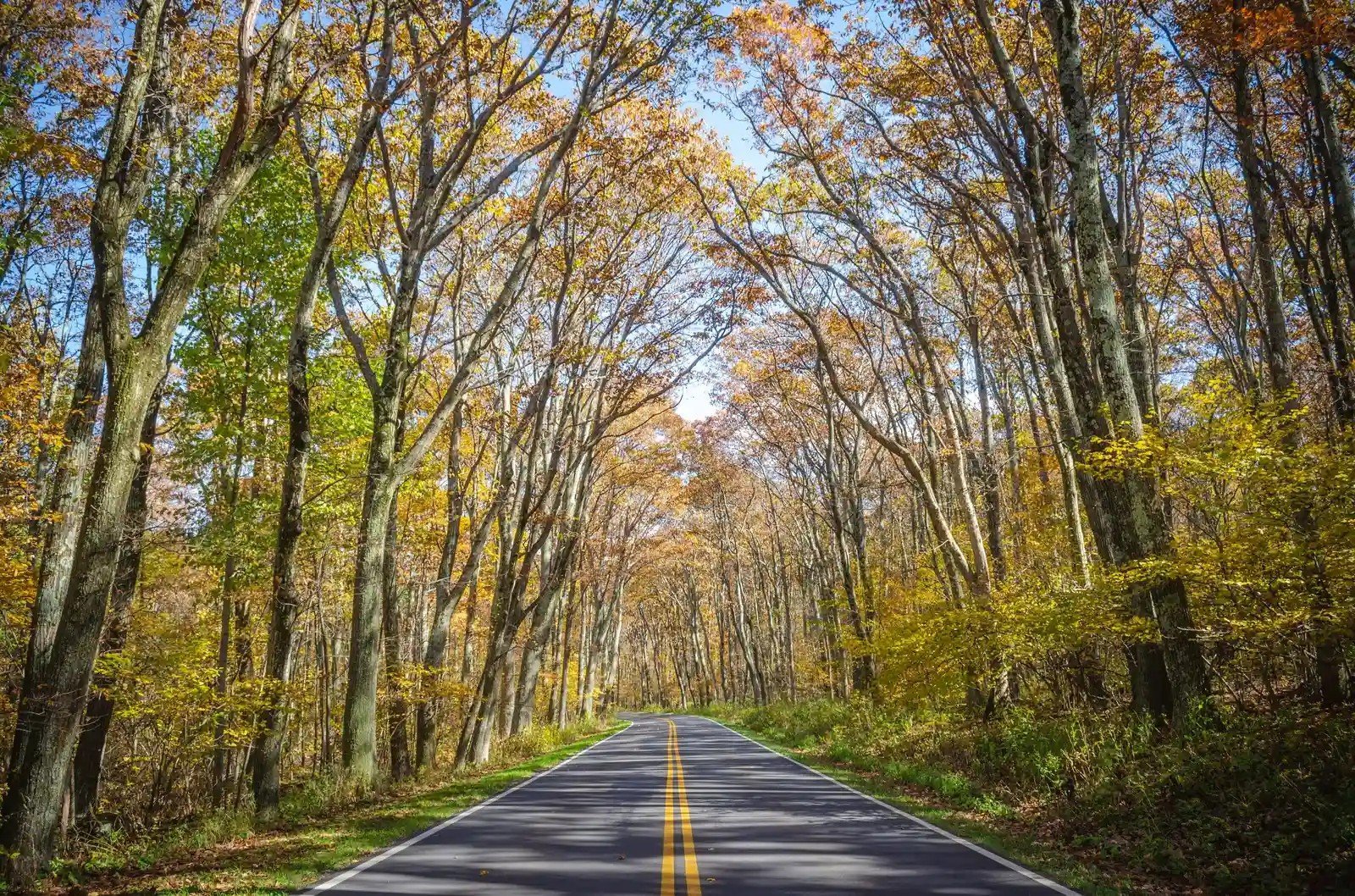 #2 - Shenandoah National Park, Virginia (Image Credits: Shutterstock)