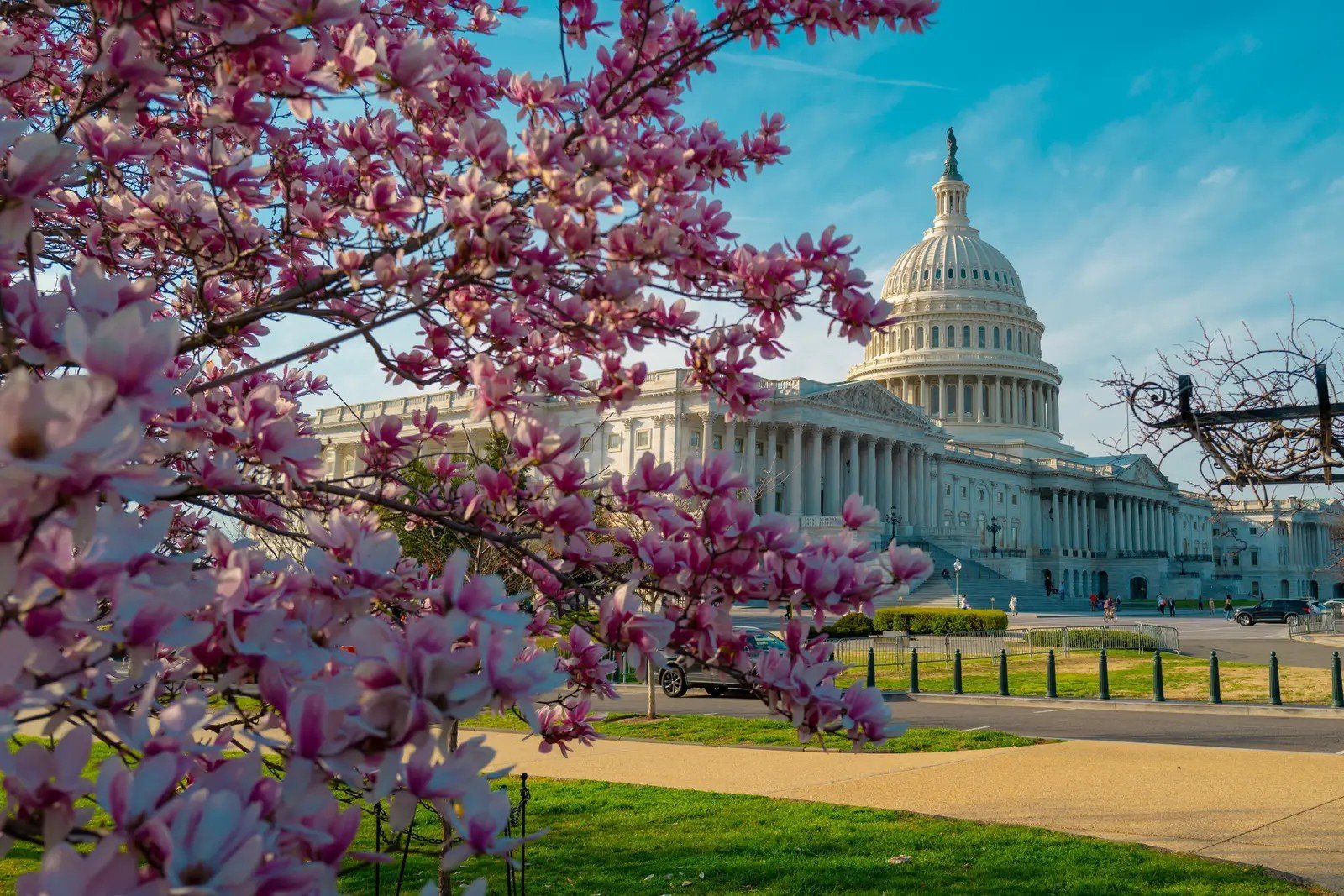 #1 - Washington, D.C. (Image Credits: Shutterstock)