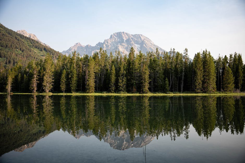 #8 - Wyoming: Yellowstone and Grand Teton Together Form America's Best Back-to-Back Park Drive (Image Credits: Pexels)