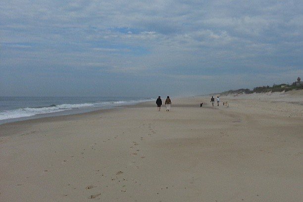 #8 - Flying Point Beach, Southampton, New York (Image Credits: Flickr)