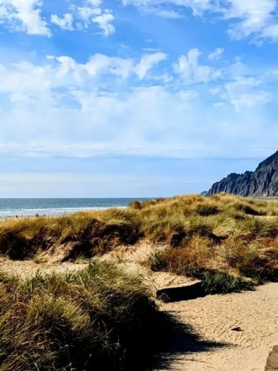 America&rsquo;s Worst Beaches in 2026, Ranked