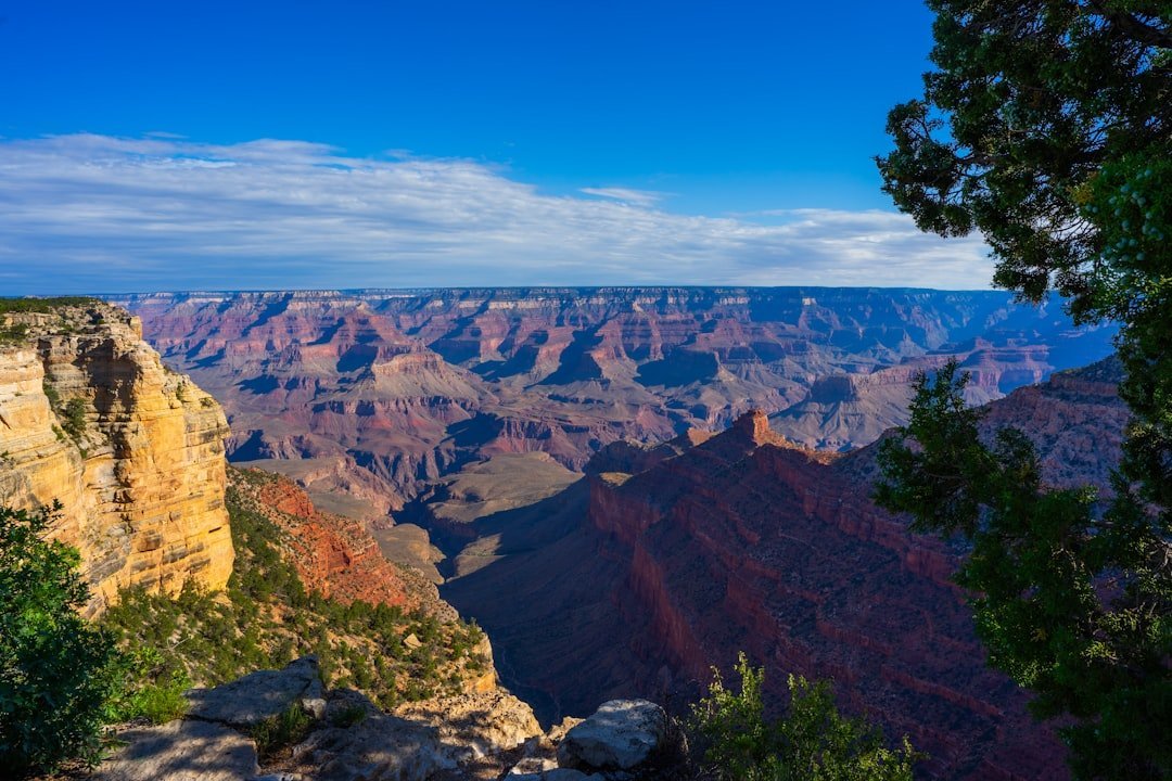 #4 &ndash; Grand Canyon South Rim, Arizona (Image Credits: Unsplash)