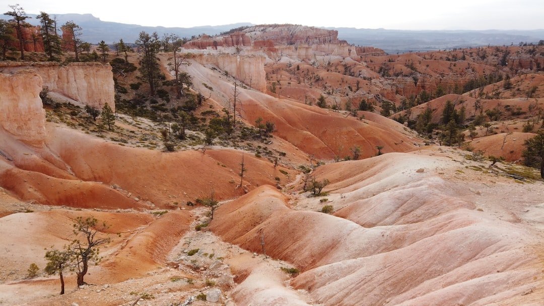 #9 &ndash; Bryce Canyon: Tiny Park, Massive Damage Hiding in Plain Sight (Image Credits: Unsplash)
