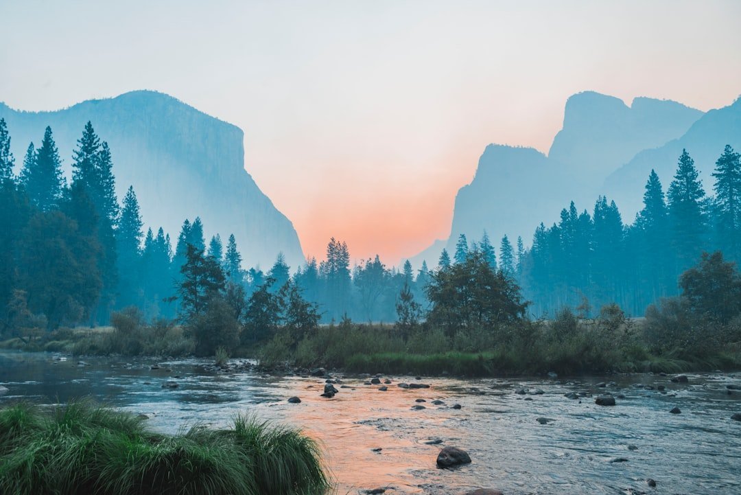 #3 &ndash; Yosemite: The Giant Sequoias Are Being Quietly Killed by Kindness (Image Credits: Unsplash)