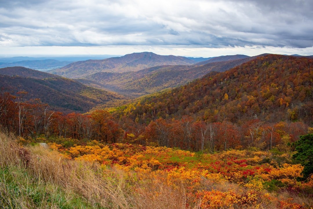 #12 - Shenandoah National Park: The "Easy Drive" That Secretly Grinds to a Halt (Image Credits: Unsplash)