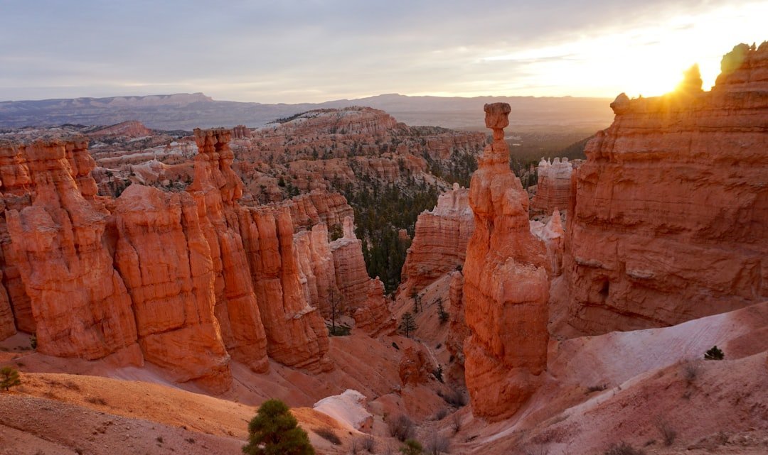 #9 - Bryce Canyon National Park: Tiny Park, Massive Traffic Problem (Image Credits: Unsplash)