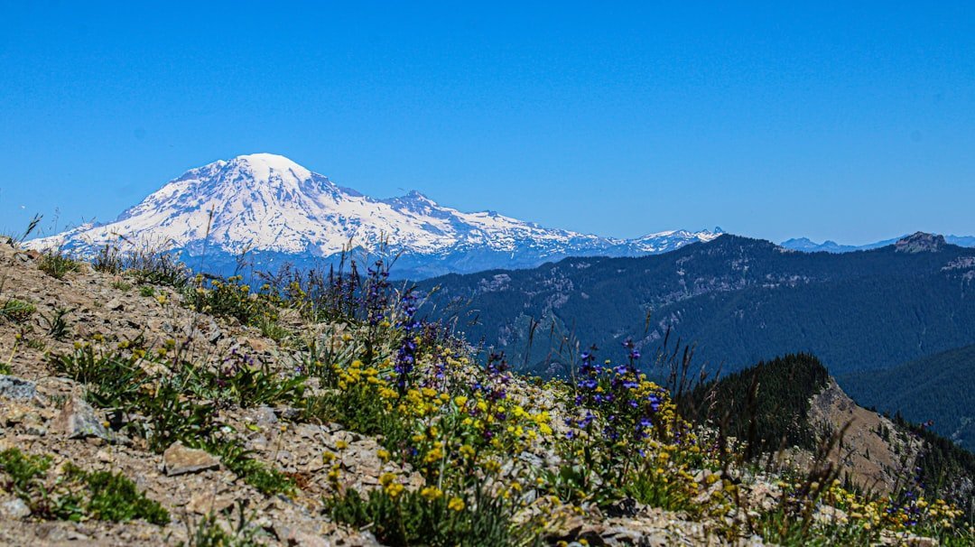 #8 - Mount Rainier National Park: The Park That Finally Cracked Under Pressure (Image Credits: Unsplash)