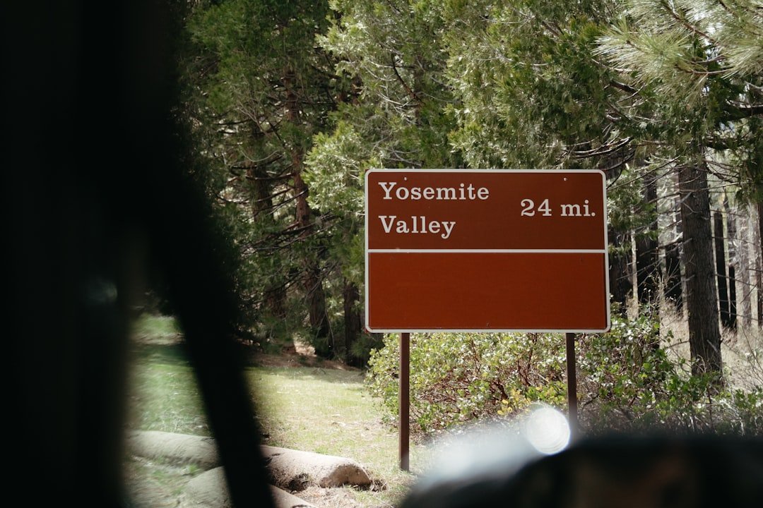 #2 - Yosemite National Park: The Valley That Became a Traffic Experiment (Image Credits: Unsplash)