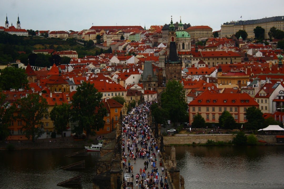 #2 - The European Summer Booked Too Late and Arrived Too Tense (Image Credits: Unsplash)