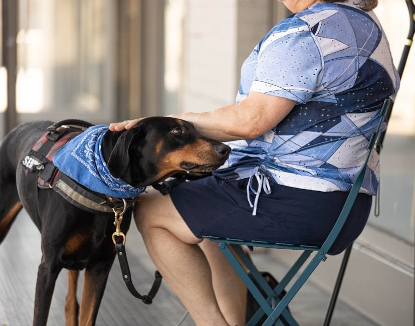 #7 - Emotional Support Animals No Longer Get the Privileges They Once Did (Image Credits: Pexels)