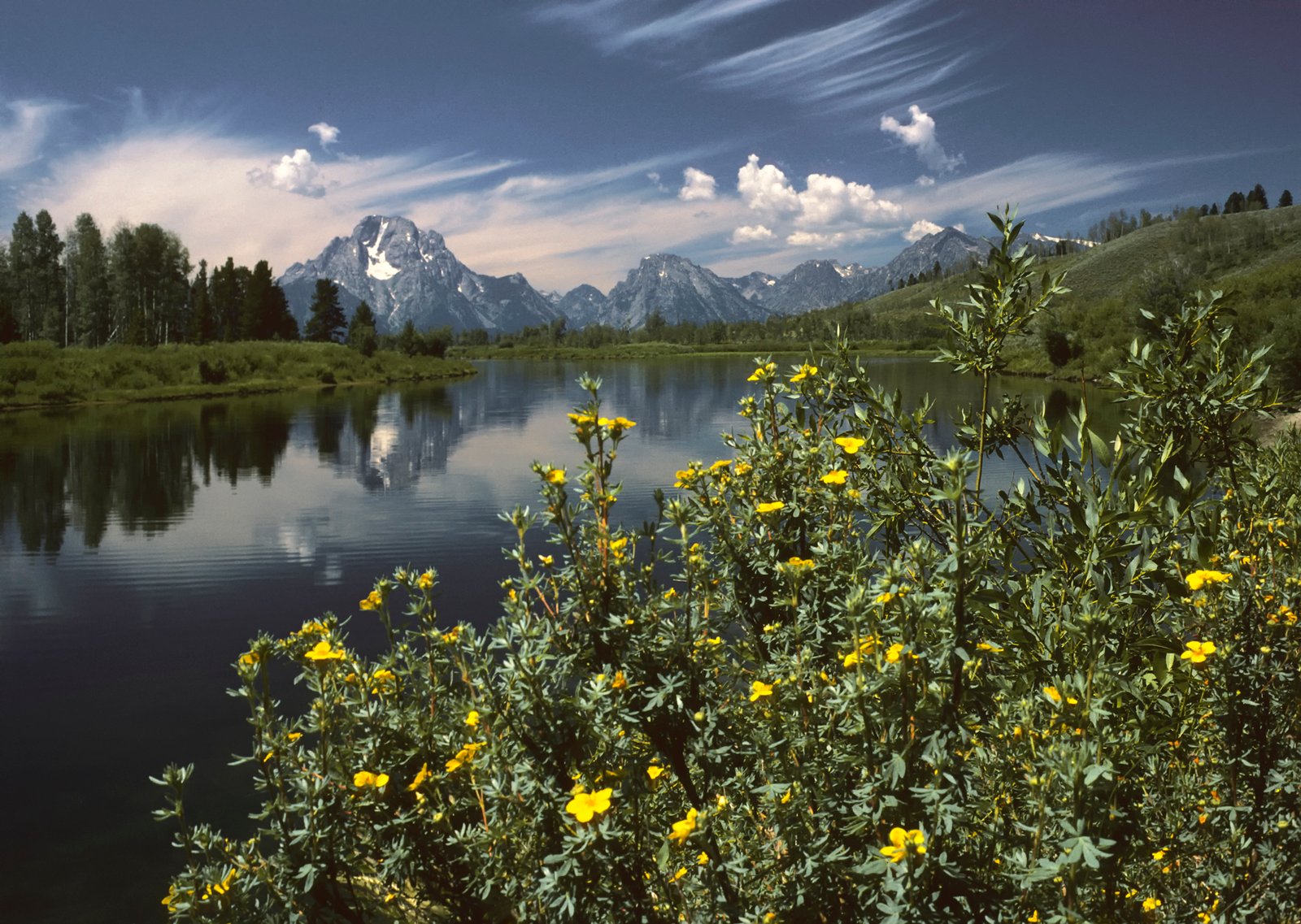 Oxbow Bend outlook in the Grand Teton National Park. View over the Snake River to the Mount Moran with the Skillet Glacier (12,605 ft/3,842 m), Bivouac Peak (10,825 ft/3,299 m) and Eagles Rest Peak (1