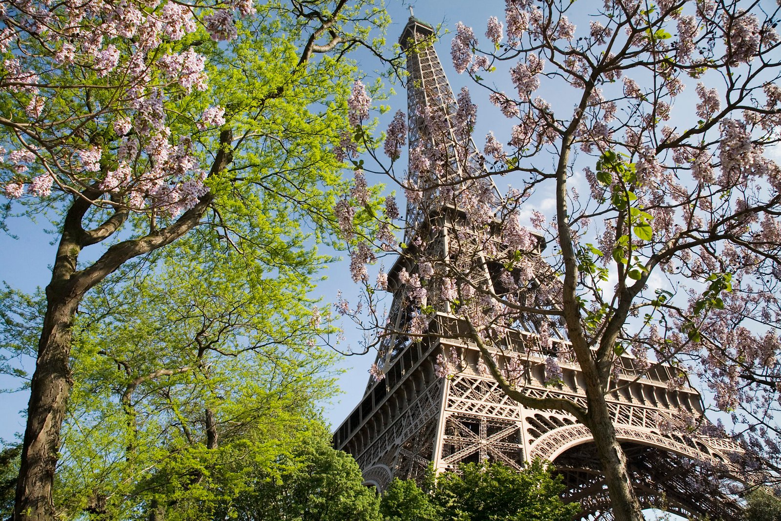 The Eiffel Tower in spring, Paris, France.