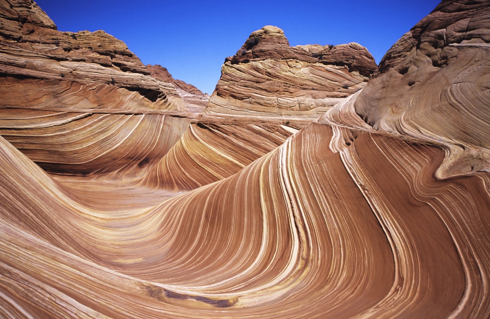 The Wave, a sandstone formation in northern Arizona. Greg Bulla, www.gregbulla.com