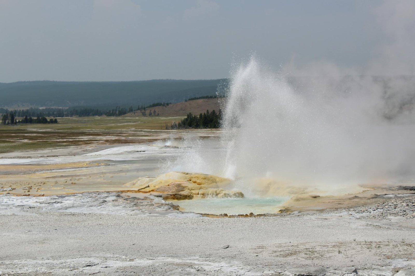 A breathtaking image of a geyser erupting at Yellowstone National Park, USA.