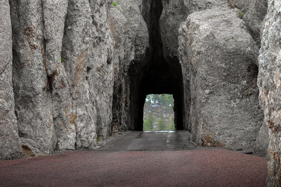 #10 - Wind Cave National Park, South Dakota: When the Cave Is Closed (Image Credits: Pexels)