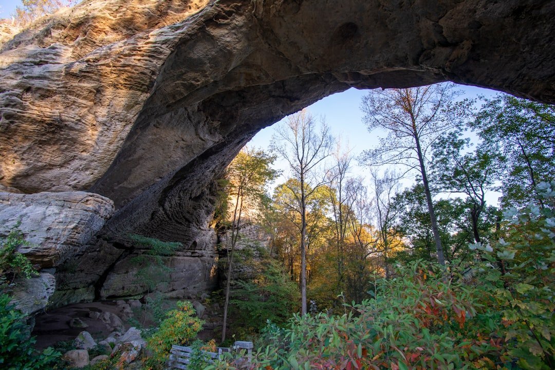 #9 - Mammoth Cave National Park, Kentucky: Cold, Dark, and Oversold (Image Credits: Unsplash)