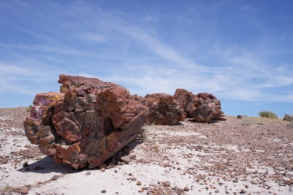 #7 - Petrified Forest National Park, Arizona: The Trees Are Logs, Actually (Image Credits: Pexels)