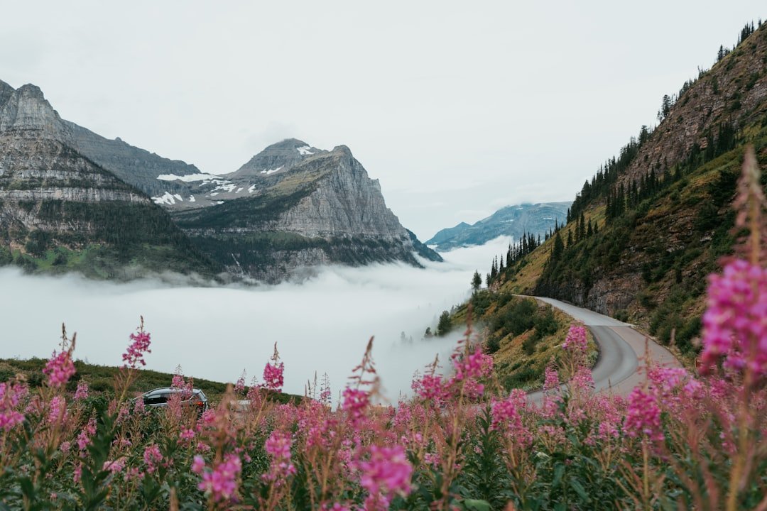 #5 - Glacier National Park, Montana: The Reservation Nightmare (Image Credits: Unsplash)