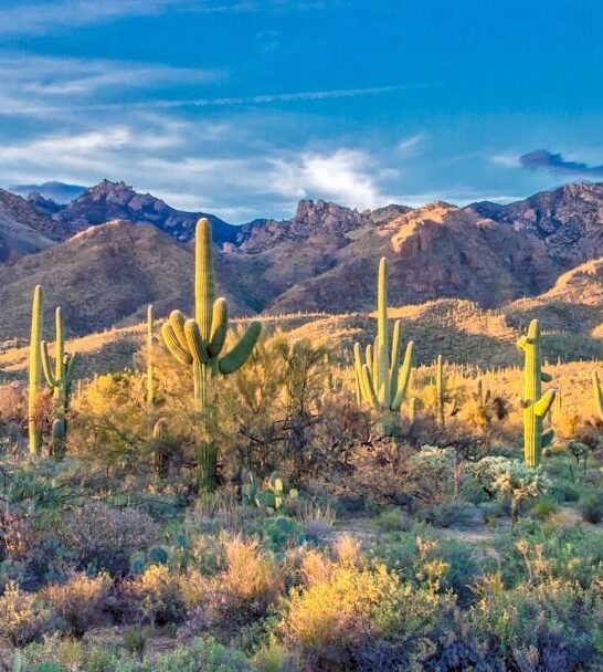 17 Most Disappointing National Parks To Visit (Ranked By Visitor Regret)