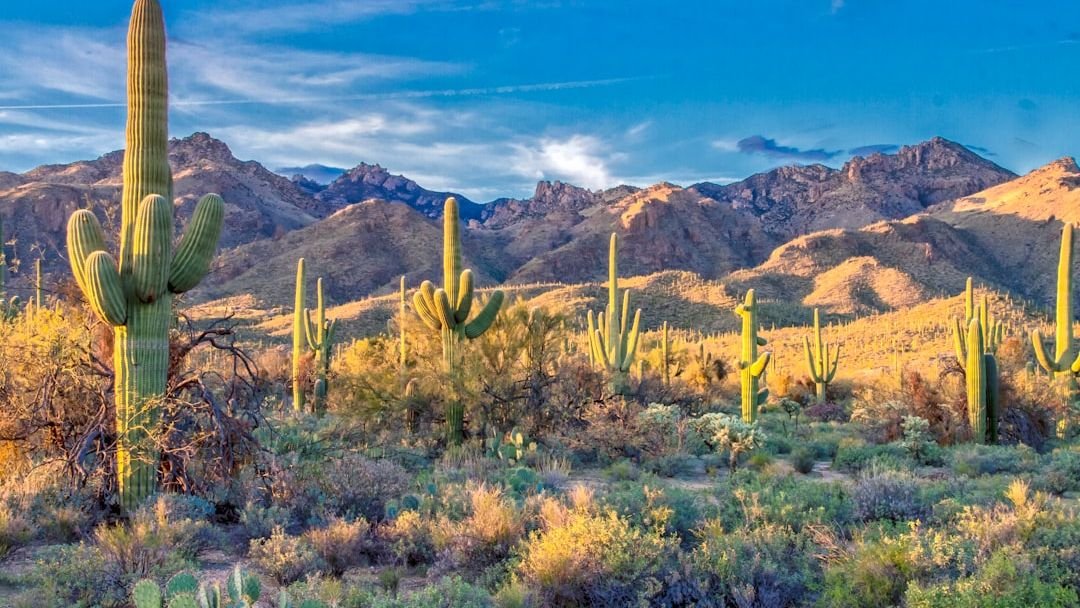 17 Most Disappointing National Parks To Visit (Ranked By Visitor Regret)