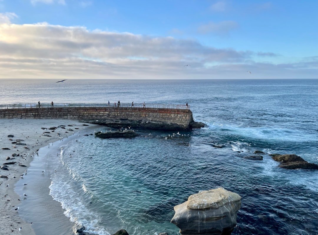 #8 - La Jolla, California: Beautiful Cliffs, Brutal Reality (Image Credits: Unsplash)
