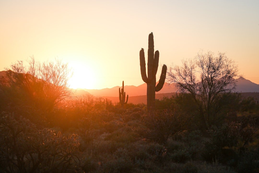 #9 - Phoenix, AZ: The Heat Is Not a Selling Point (Image Credits: Unsplash)