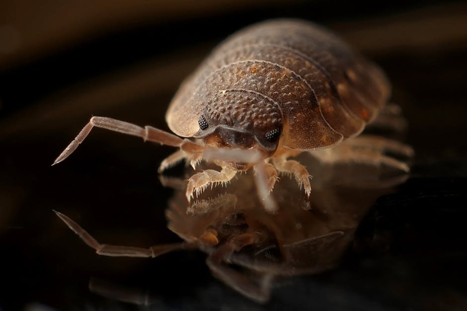 #4 - The Hotel With Recent Bedbug Reports You Chose to Ignore (Image Credits: Pexels)