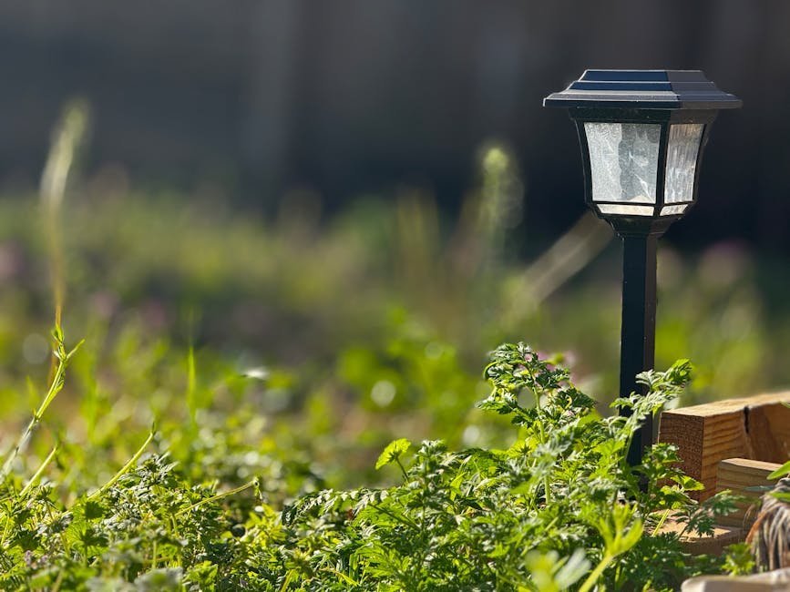 #21 &ndash; Mismatched Solar Stake Lights Crammed Along Every Path (Image Credits: Pexels)