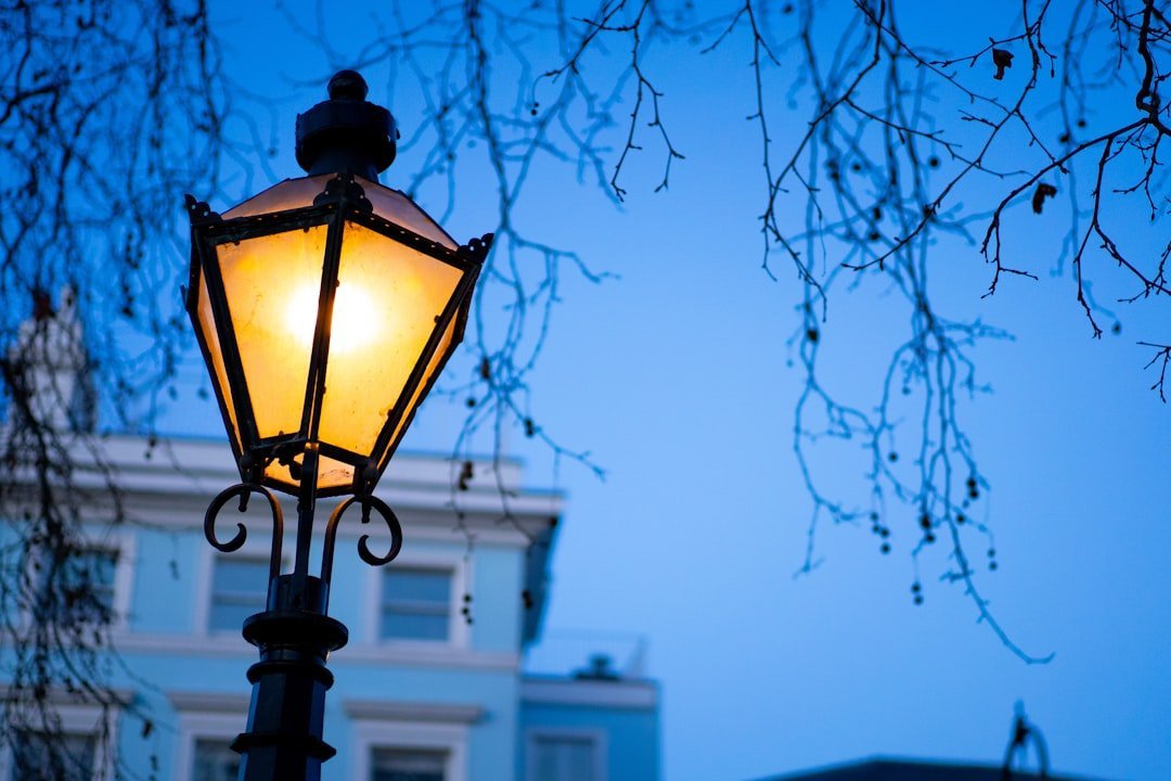 #18 &ndash; Vintage Lamp Posts Completely Out of Architectural Context (Image Credits: Unsplash)