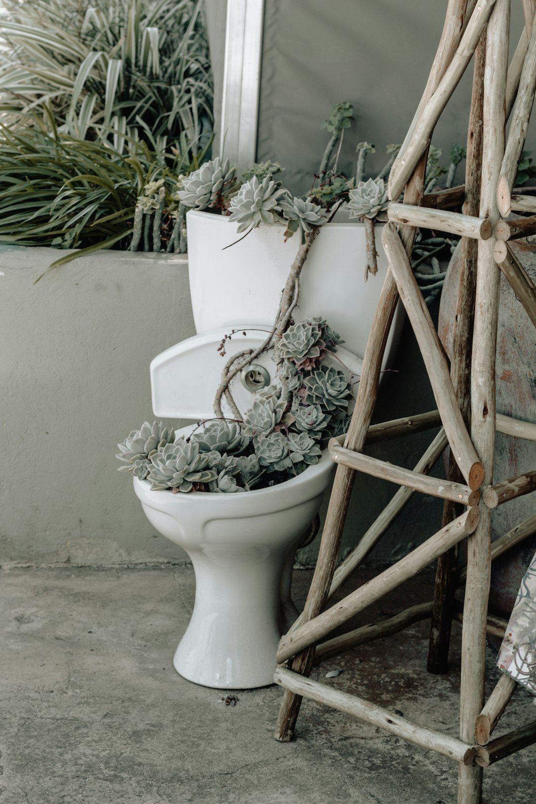 #17 &ndash; Ceramic Toilets Used as Planters (Image Credits: Unsplash)