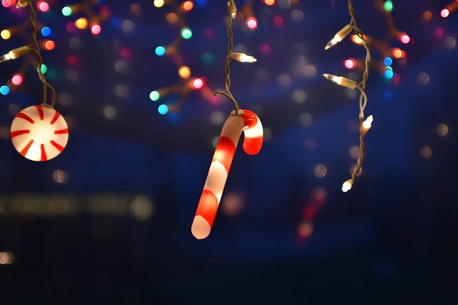 #5 &ndash; Christmas Lights Still Up in Spring (Image Credits: Pexels)