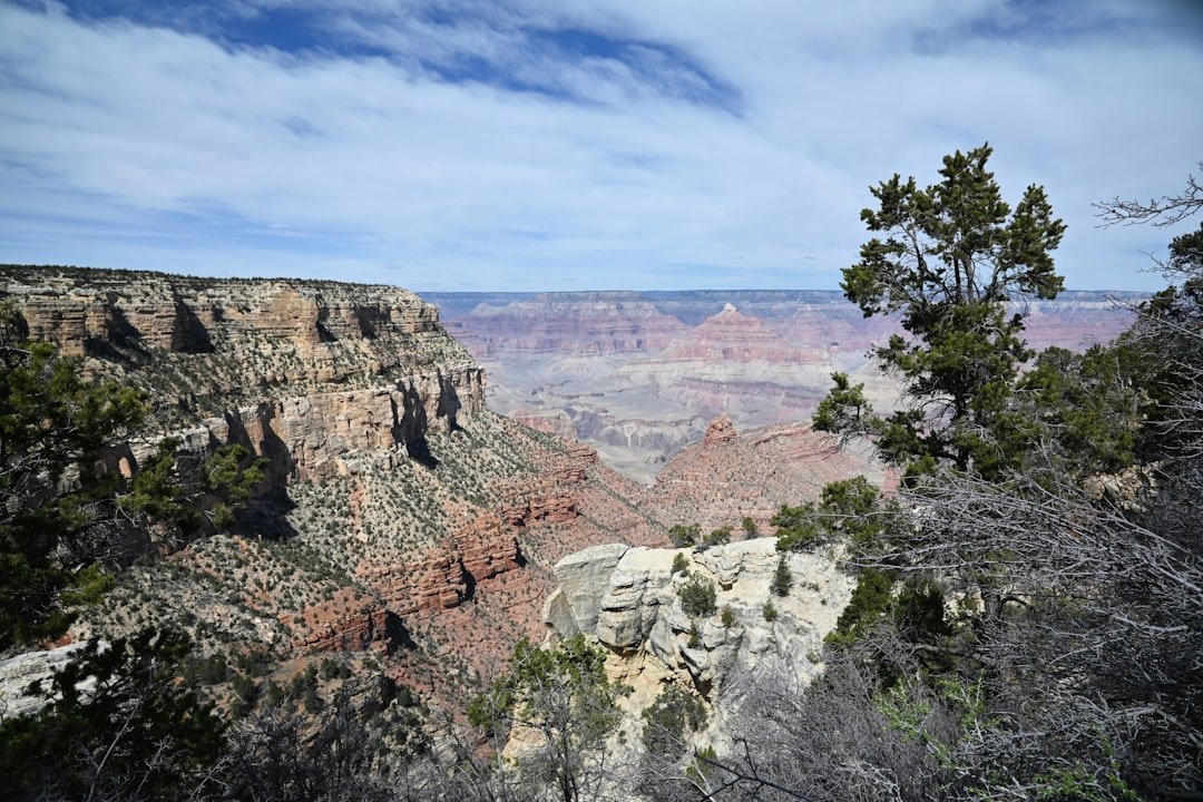 #4 - Grand Canyon National Park: The Traffic Jam at the Edge of the World (Image Credits: Unsplash)