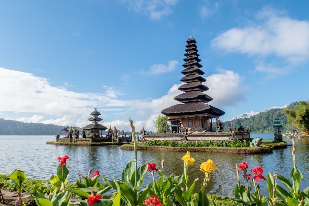 #9 - Bali, Indonesia: Loved Straight Into a Crisis (Image Credits: Unsplash)