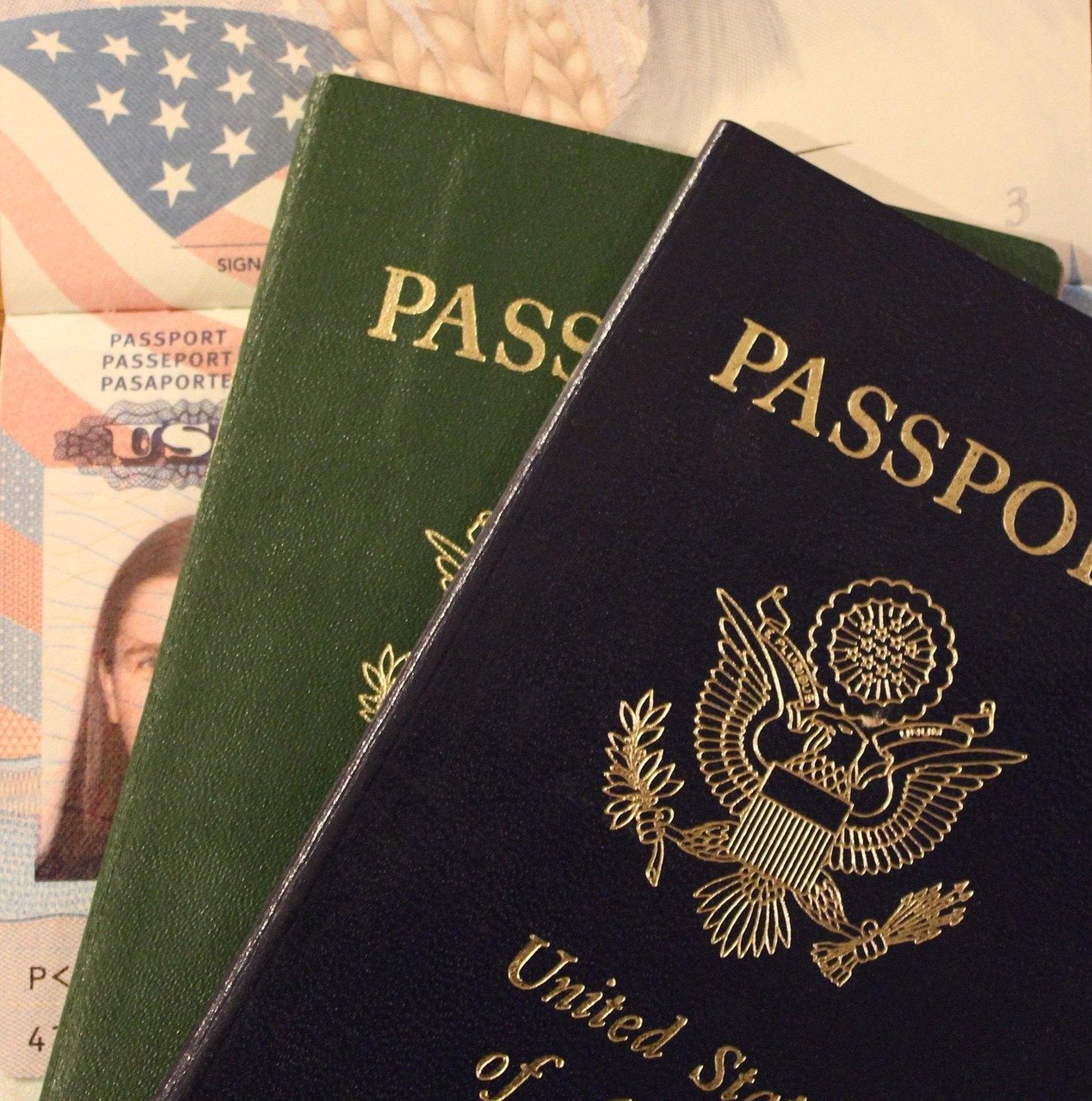 #13 - Sailing Internationally Without a Passport Book (Image Credits: Pixabay)