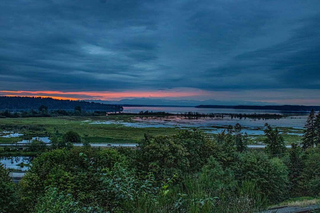 #1 - Forks, Washington: A Twilight Obsession That Swallowed a Real Town (Image Credits: Unsplash)